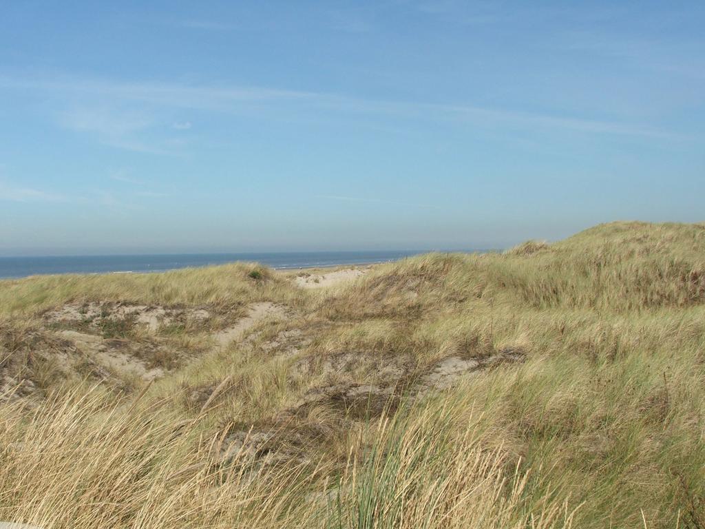 Apartmán Huize De Weijde Blick Wijk aan Zee Exteriér fotografie